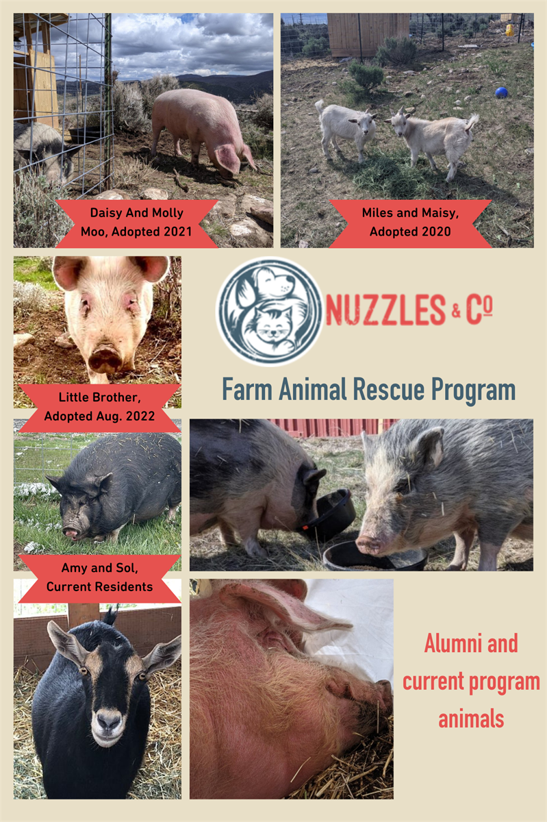 Nuzzles & Co Farm Animals